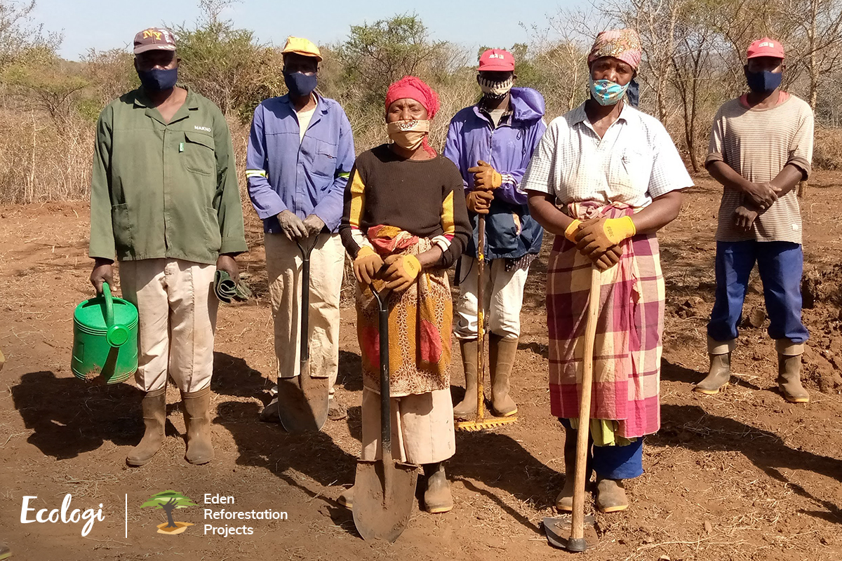 Ecologi Mozambique File